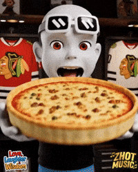 Chicago Blackhawks D GIF by Zhot