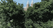 w&j campus GIF by Washington & Jefferson College