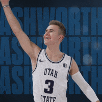 Usu GIF by USUAthletics