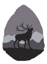 Puma Raptor Sticker by WinShape Camps