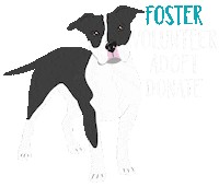 Adopt Pit Bull Sticker by HeARTs Speak