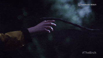 The Birch Halloween GIF by Crypt TV