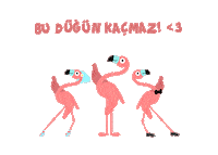 Wedding Flamingo Sticker by Tambu Klavye