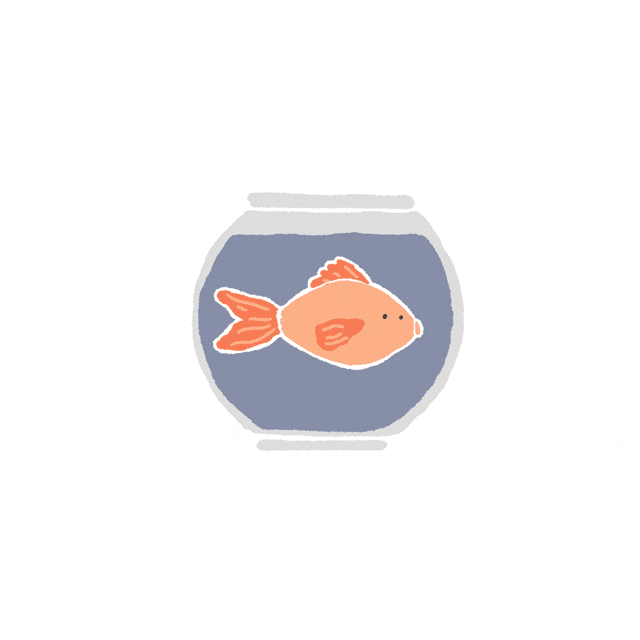 thokamaer fish oops fart bubbles GIF