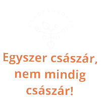 Csection Sticker by Császárvonal