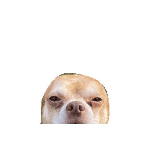 Dog Sticker by The Alice Tsai