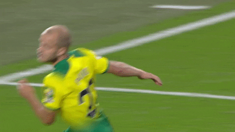 Norwich City Sport GIF by Norwich City Football Club