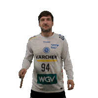 Handball Stuttgart Sticker by DAIKIN HBL