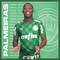 Soccer Futebol GIF by SE Palmeiras