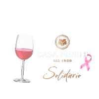 Casa_Perini vinho outubro rosa solidario casa perini Sticker