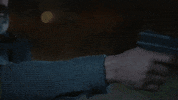 Sipahi GIF by Show TV