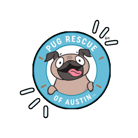pugrescueaustin giphygifmaker pug pra pugface Sticker