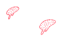 Loop Run Sticker by meduse.agency
