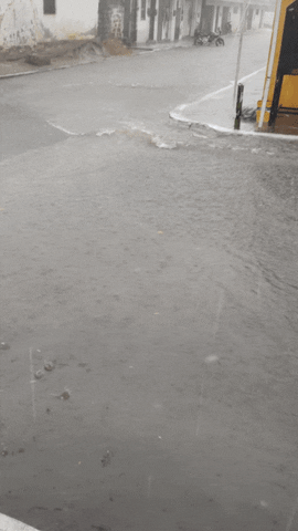 crisstomoalves giphyupload GIF