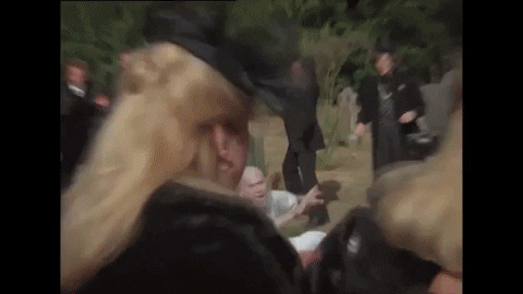 alasdairkillin giphygifmaker wtf funeral GIF