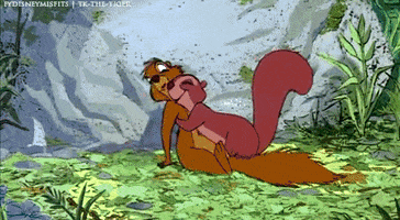 sword in the stone squirrel GIF