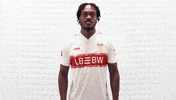 Vfb Stuttgart Applause GIF by Bundesliga