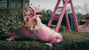 music video nick GIF by Jonas Brothers