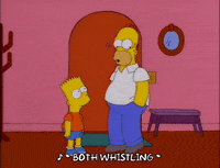 homer simpson GIF