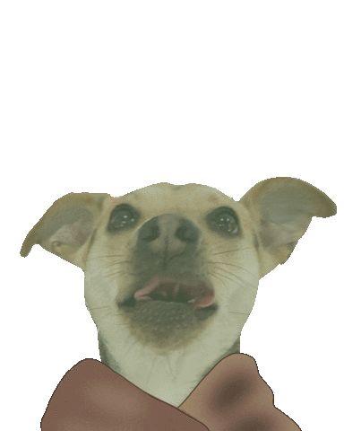 Baby Yoda Dunkin Sticker by Simple & Sentimental