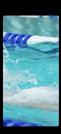 Jack Smith GIF