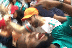 Dolphins Miami Miracle GIF by BNMR GLVZ