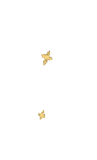 Yellow Star Sticker by Jordan Kay
