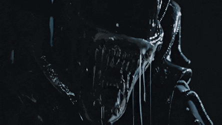 irenehsieh giphyupload GIF