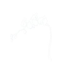 Summer Flower Sticker