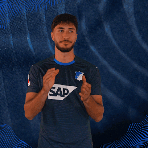 Sport Bundesliga GIF by TSG Hoffenheim