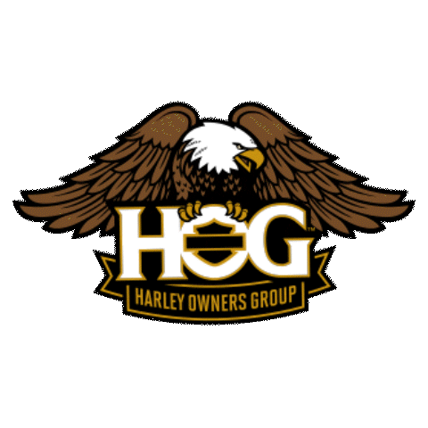 HarleyDavidsonBR hd harley hog harleydavidson Sticker