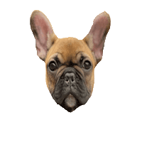 Dog Sticker by DasBetrieb
