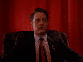Season 1 Episode 3 GIF by Twin Peaks on Showtime