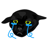 Sad Black Cat Sticker