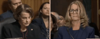 dianne feinstein GIF