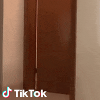 Cane GIF by TikTok Italia
