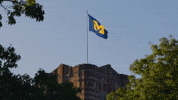 Go Blue Michigan Flag GIF by University of Michigan
