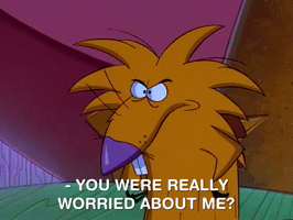 nickrewind nicksplat angry beavers GIF