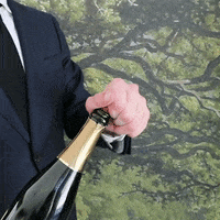 Bar Champagne GIF by Van der Valk Amsterdam-Amstel