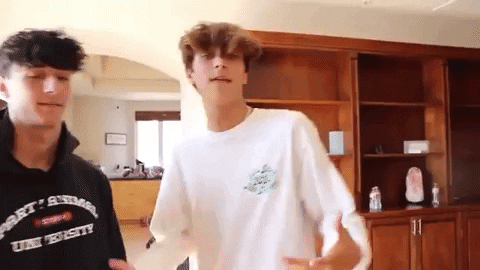 FebreTeen giphygifmaker tiktok josh richards joshrichards GIF