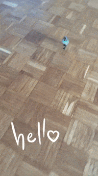 Duck Hello GIF