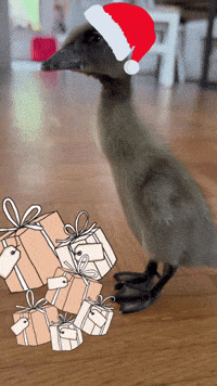 X-Mas Christmas GIF