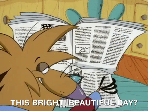 nickrewind giphydvr nicksplat angry beavers giphyab013 GIF