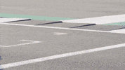 Red Bull F1 GIF by Red Bull Racing