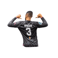 Riseasone Sticker by St. Louis Ambush