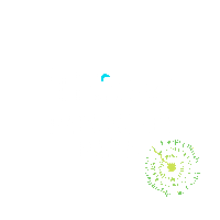 Cape Coral Sticker by Wicked Dolphin