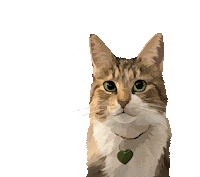 Cat Pet Sticker by Watertown Humane Society