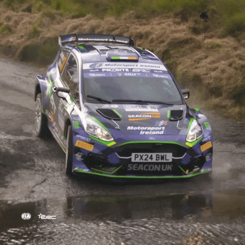 Motorsport Splash GIF by FIA European Rally Championship
