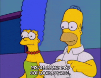 homer simpson episode 20 GIF