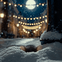 Cat Fun GIF by KPN